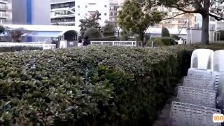 《凌晨三点电影在线播放》高清免费在线观看-武侠